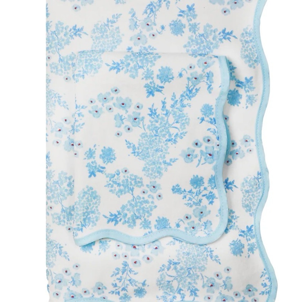 NWOT Biscuit Home • Set of 4 Terry Cloth Towels
